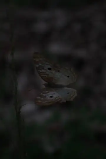 Háblame 2021 test213