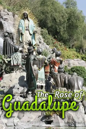 La rosa de Guadalupe Ver Online Castellano • veroTV