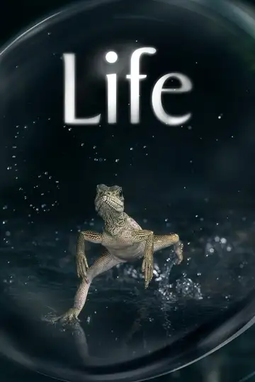 Life Ver Online Castellano • veroTV