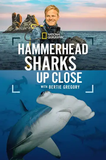 Ver Tiburones martillo en primer plano con Bertie Gregory película completa online en español