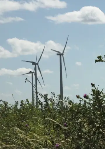 Windpark: Ein Lichtspiel bei Nacht veroTV Online • Pelicula Completa