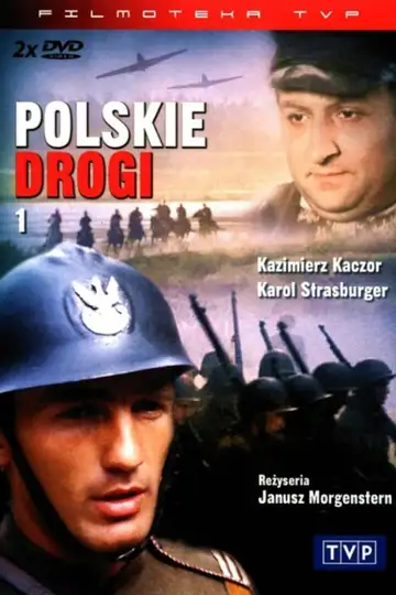 Serie Polskie drogi completa ver online castellano