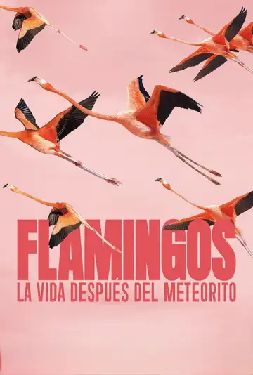 Ver Flamingos: Life After the Meteorite película completa online en español