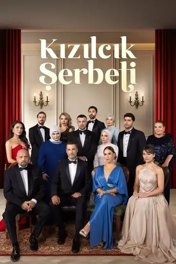 Serie Jedna miłość completa ver online castellano