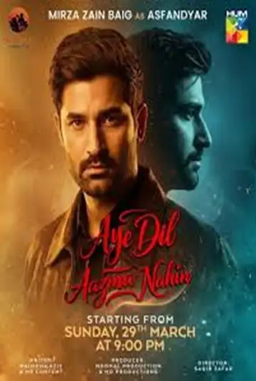 Aye Dil Aazma Nahin Ver Online Castellano • veroTV