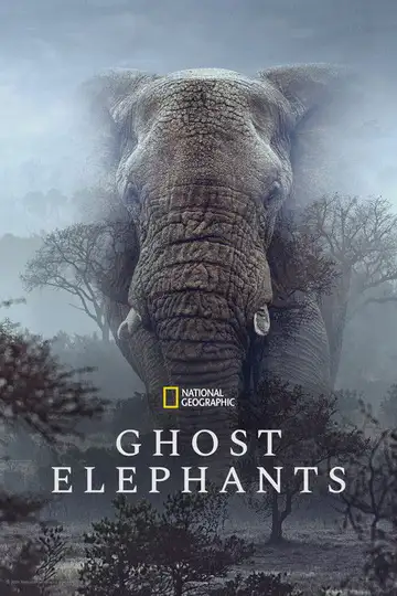 Los elefantes fantasma de Angola veroTV Online • Pelicula Completa