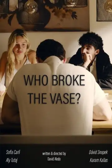 Who broke the vase? veroTV Online • Pelicula Completa