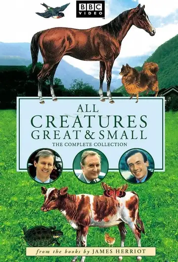 Todas las criaturas grandes y pequeñas 1978 Ver Online Castellano • veroTV