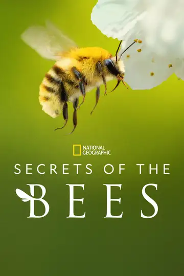 Los secretos de las abejas Ver Online Castellano • veroTV