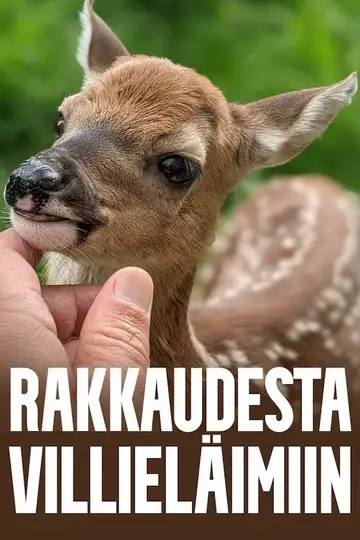 Rakkaudesta villieläimiin Ver Online Castellano • veroTV