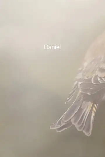 Daniël veroTV Online • Pelicula Completa