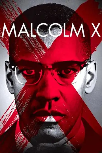 Malcolm X veroTV Online • Pelicula Completa