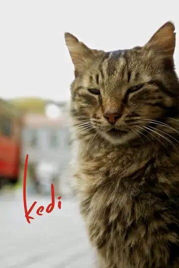 Kedi (Gatos de Estambul) veroTV Online • Pelicula Completa