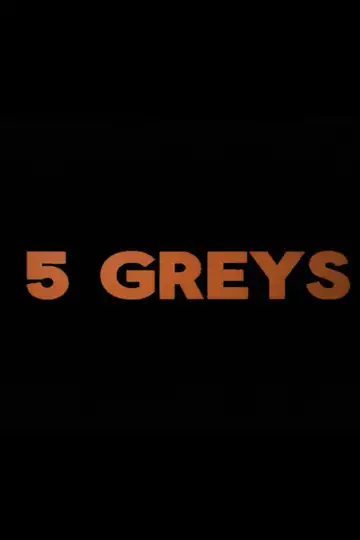 5 greys veroTV Online • Pelicula Completa