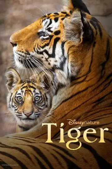 Tigres veroTV Online • Pelicula Completa