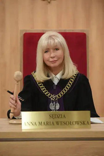 Serie Sędzia Anna Maria Wesołowska completa ver online castellano