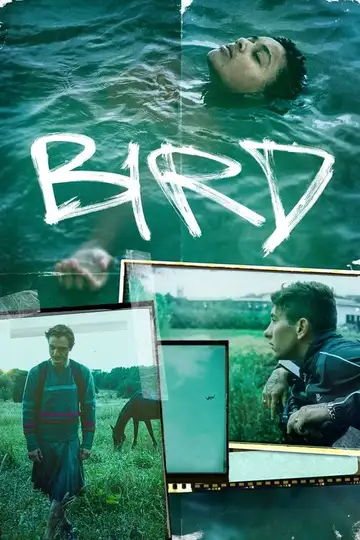 Ver Bird película completa online en español