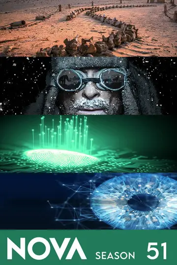 Temporada 51