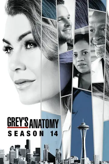 Temporada 14