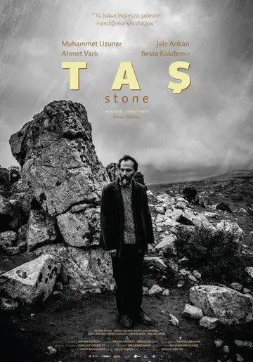 The Stone 2017