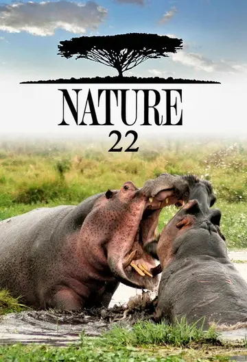 Sezon 22