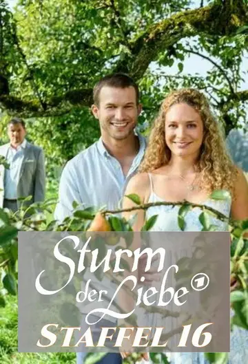 Sezon 16