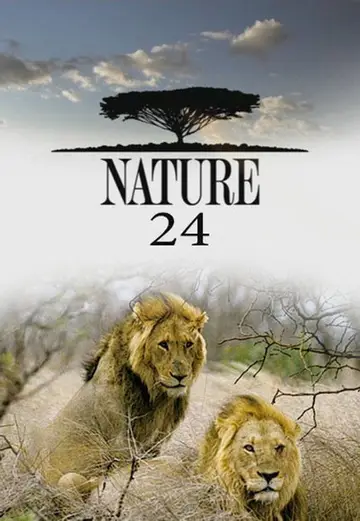 Sezon 24