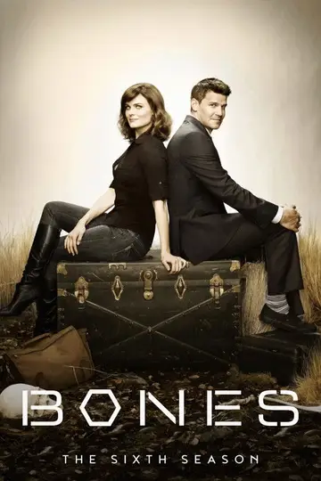 Temporada 6