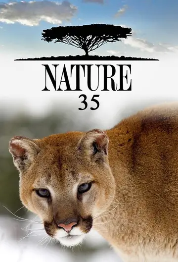 Sezon 35