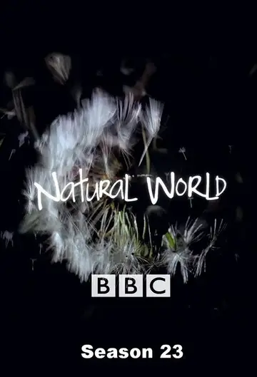 Temporada 23