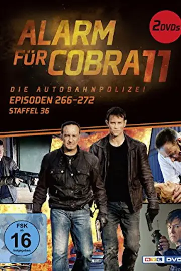 Temporada 36