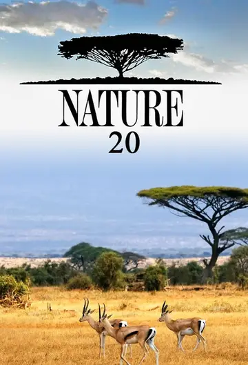 Sezon 20