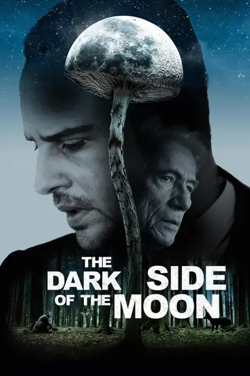 La cara oculta de la luna