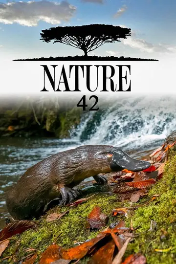 Sezon 42