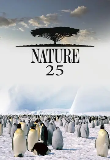 Sezon 25