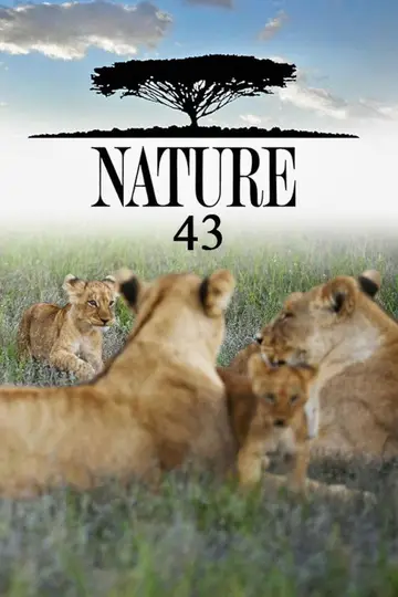 Sezon 43