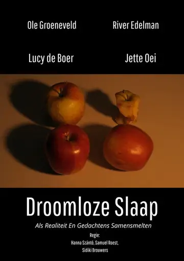 Droomloze Slaap