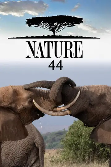 Sezon 44