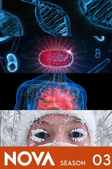 Temporada 3