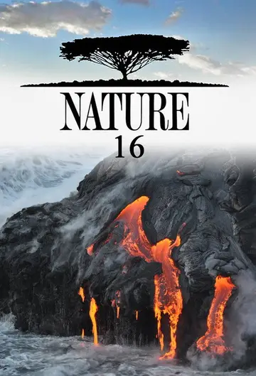 Sezon 16
