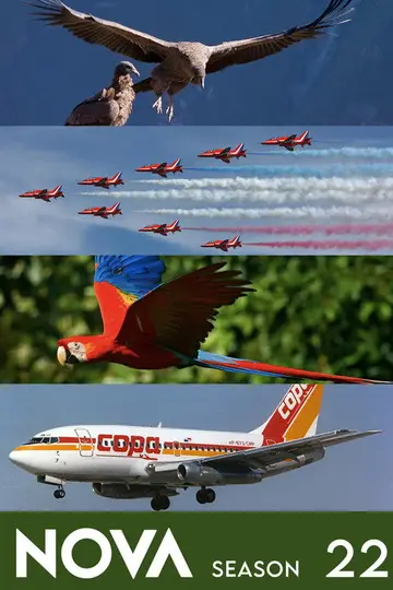 Temporada 22