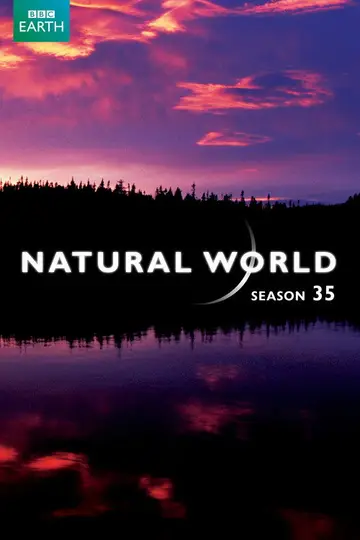 Temporada 35