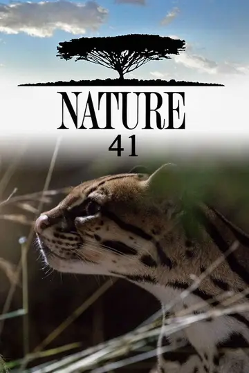 Sezon 41