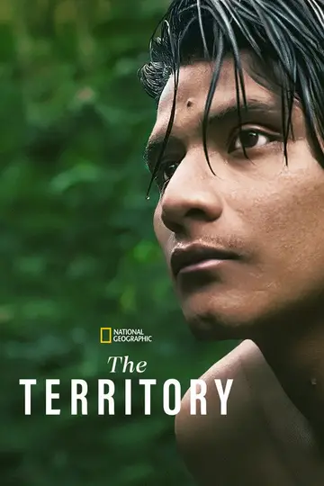 Terytorium