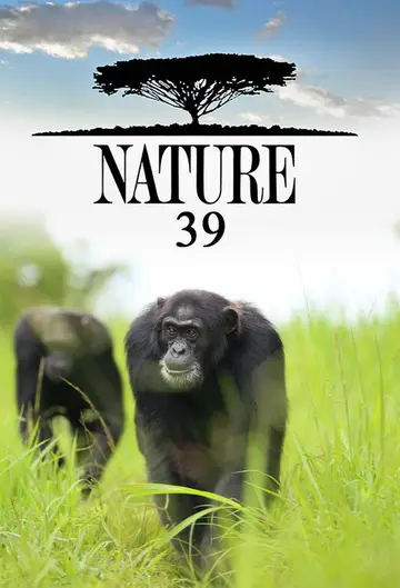 Sezon 39