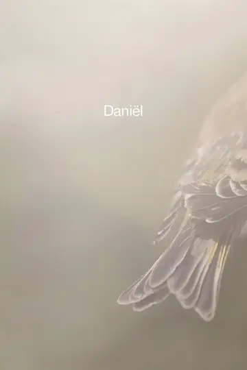 Daniël