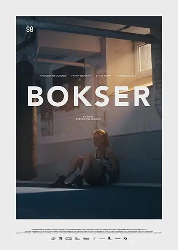 Boxer 2017