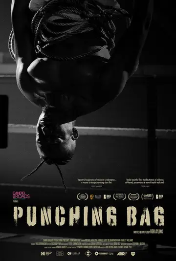Punching Bag