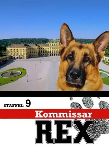 Temporada 9