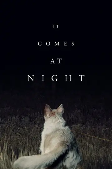 Llega de noche